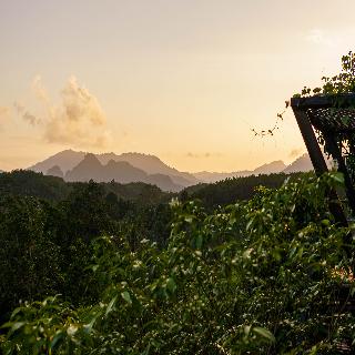 Khaosok Boutique Camps fotoÄŸrafÄ±