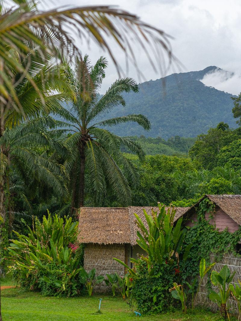 Khaosok Boutique Hideaway - Oda