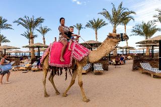 Golden Beach Resort fotoÄŸrafÄ±