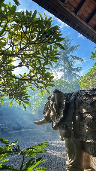 Wana Karsa The Villas Ubud otel fotoğrafı