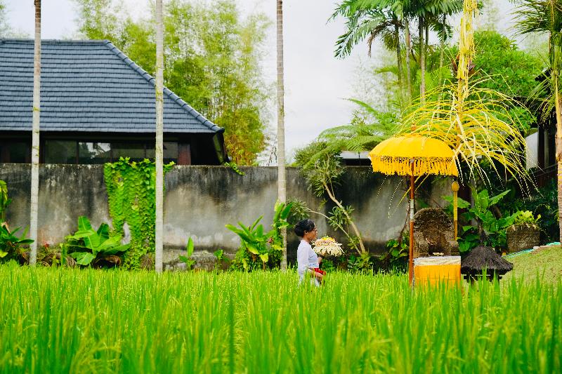 Wana Karsa The Villas Ubud - Genel