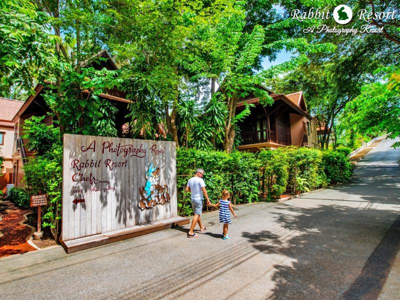Rabbit Resort - Genel