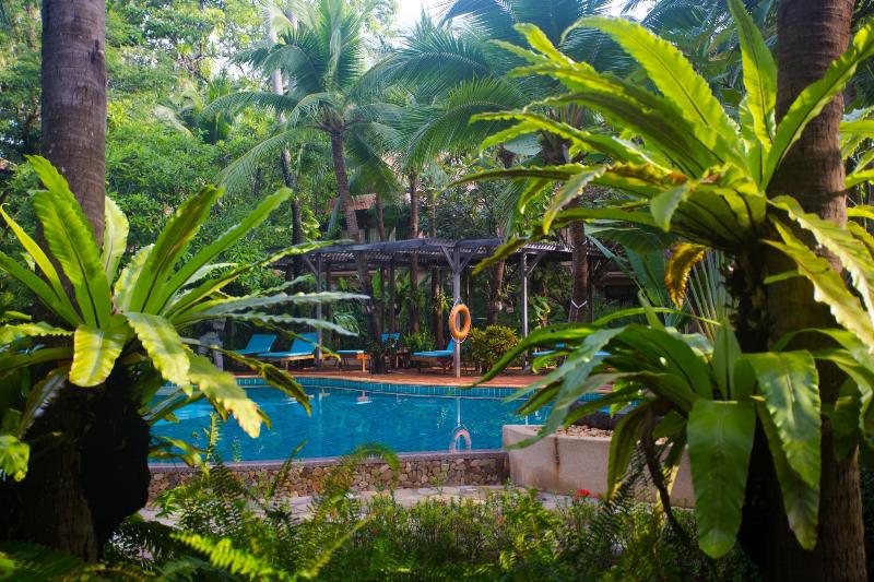 Rabbit Resort - Havuz