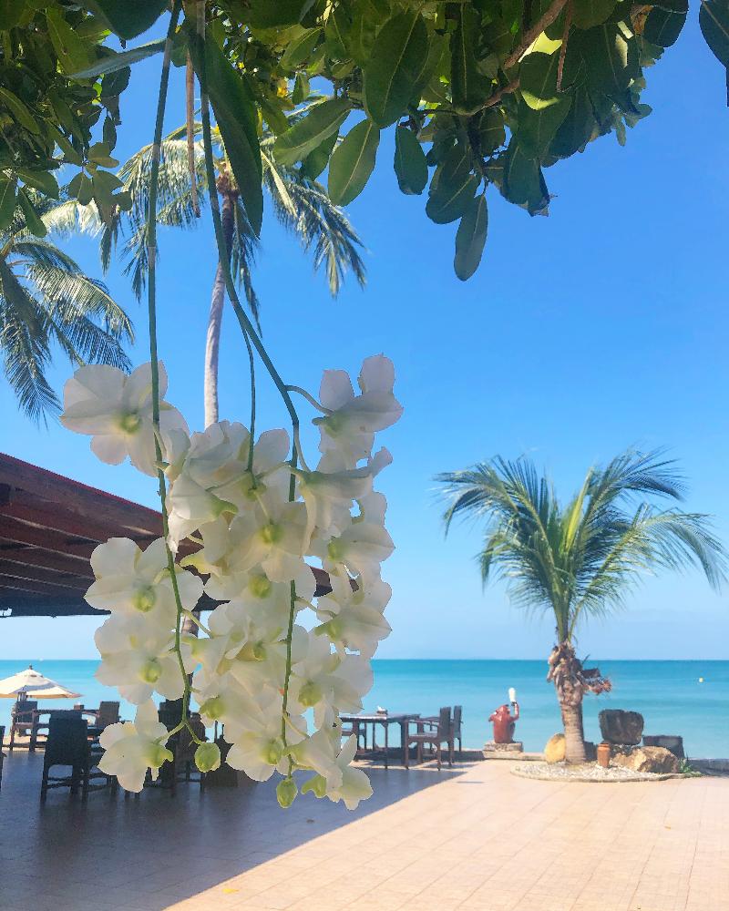Kanok Buri Resort - Genel
