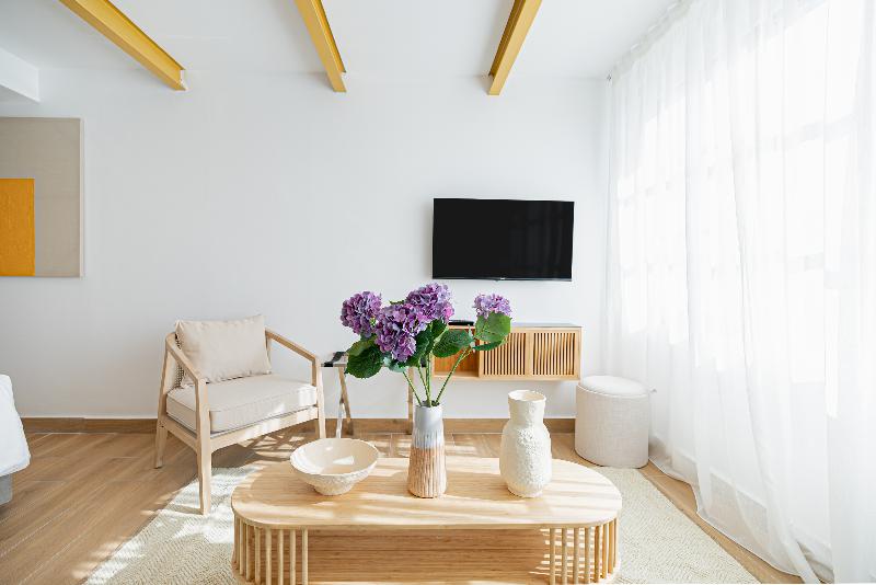 Loft Centrale - Oda