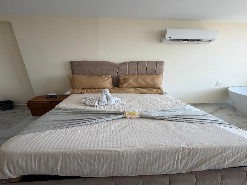 Amon Ra Hotel - Genel
