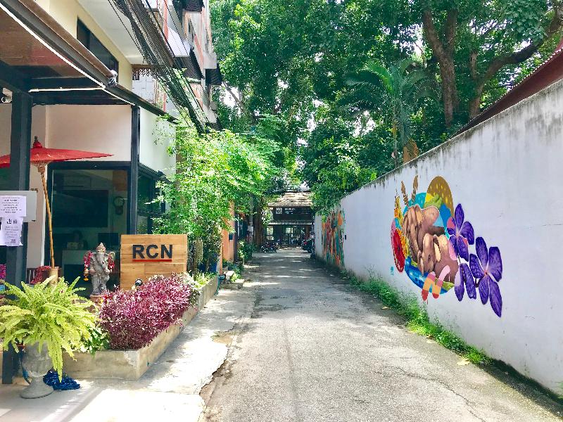 Rcn Court - Genel