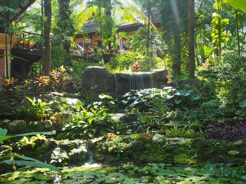 Khao Lak Palm Beach Resort - Genel