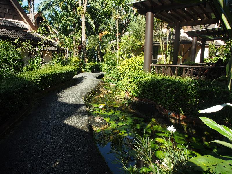 Khao Lak Palm Beach Resort - Oda