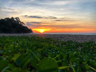 Khao Lak Palm Beach Resort fotoÄŸrafÄ±