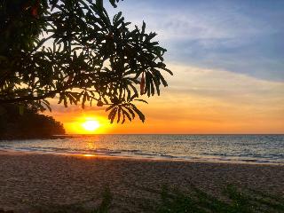 Khao Lak Palm Beach Resort fotoÄŸrafÄ±