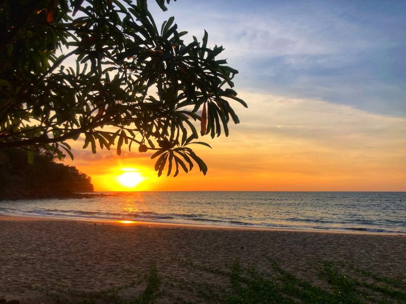 Khao Lak Palm Beach Resort - Plaj