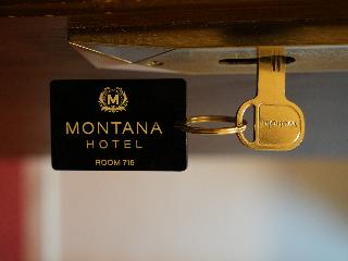 Montana Hotel Cairo fotoÄŸrafÄ±