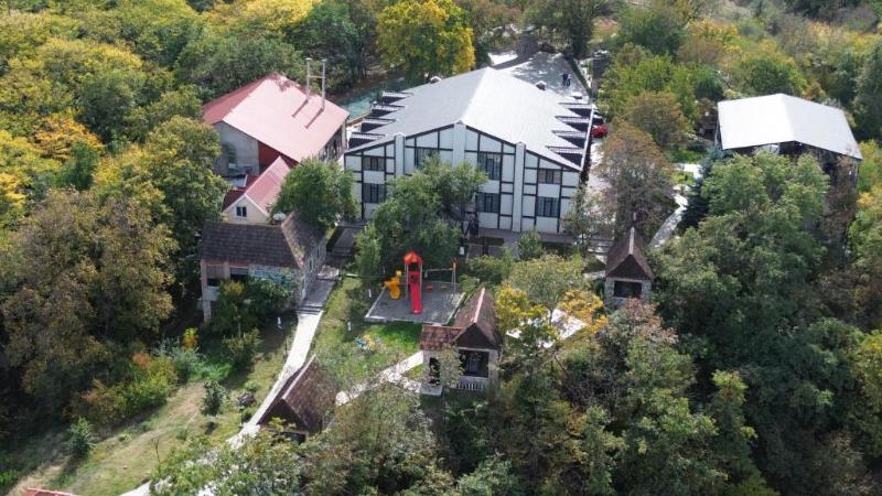 Qachaquch Forest - Genel
