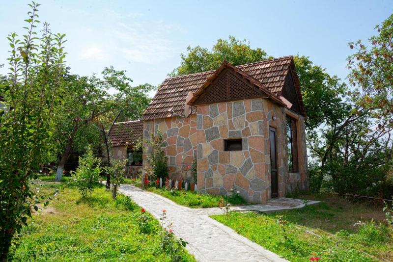 Qachaquch Forest - Genel