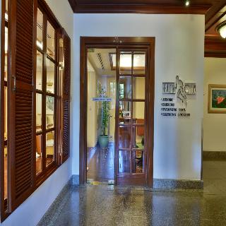 Evergreen Laurel Bangkok fotoÄŸrafÄ±