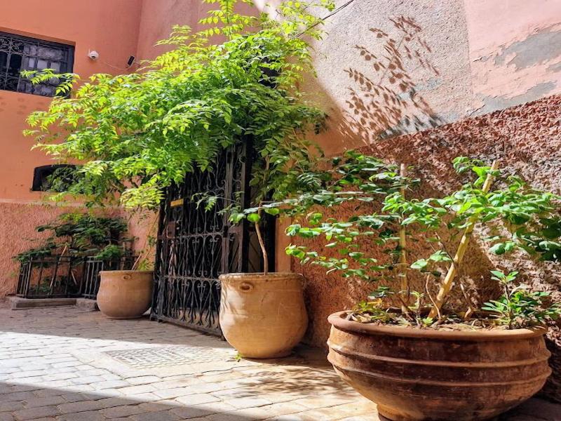 Riad Dar Serenity - Genel