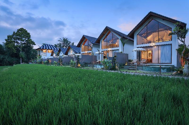 Ascarya Ubud - Genel