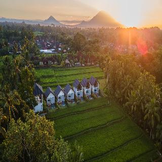 Ascarya Ubud fotoÄŸrafÄ±