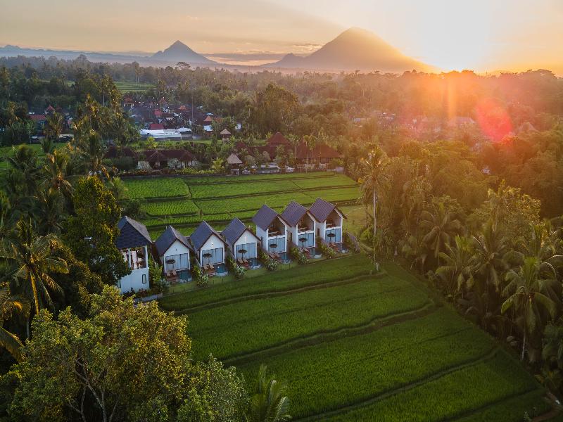 Ascarya Ubud - Genel