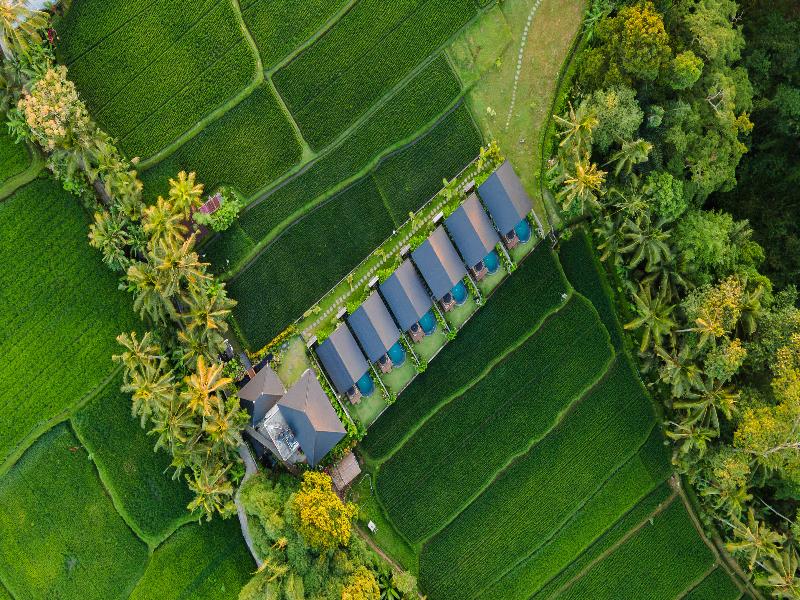 Ascarya Ubud - Genel