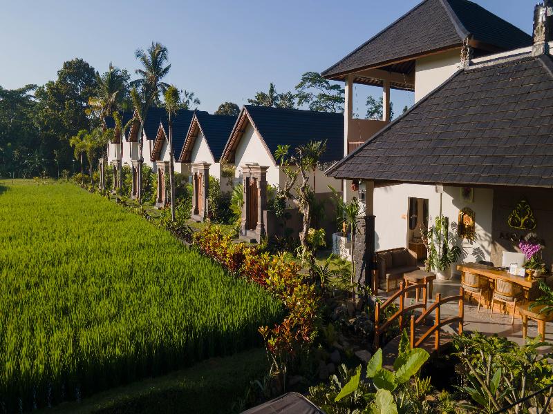 Ascarya Ubud - Genel