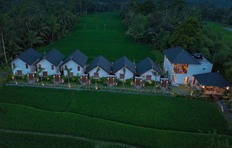 Ascarya Ubud - Genel