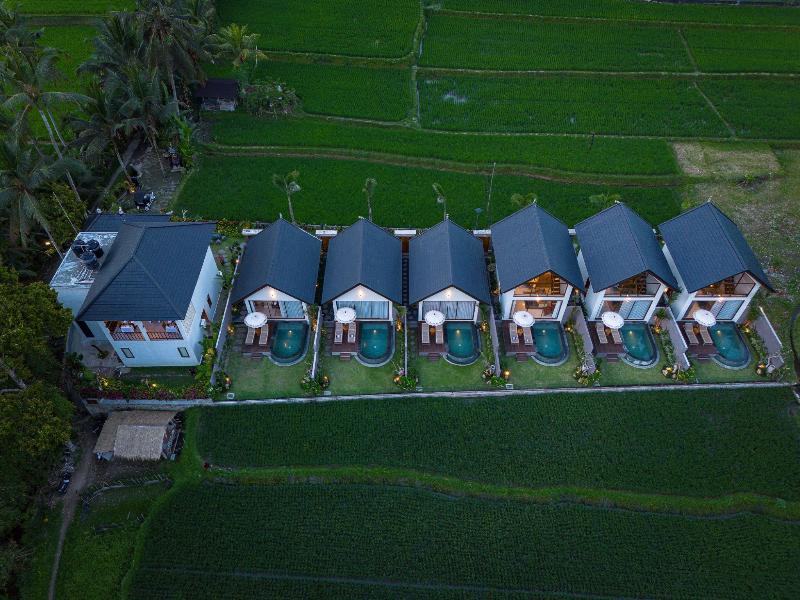 Ascarya Ubud - Genel