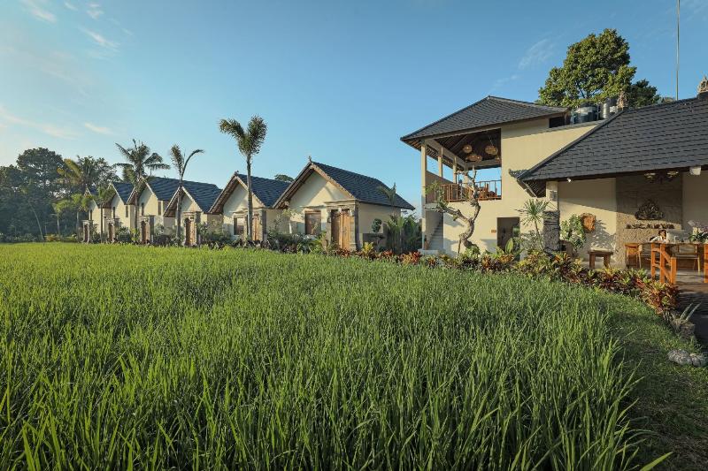 Ascarya Ubud - Genel