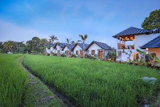 Ascarya Ubud fotoÄŸrafÄ±