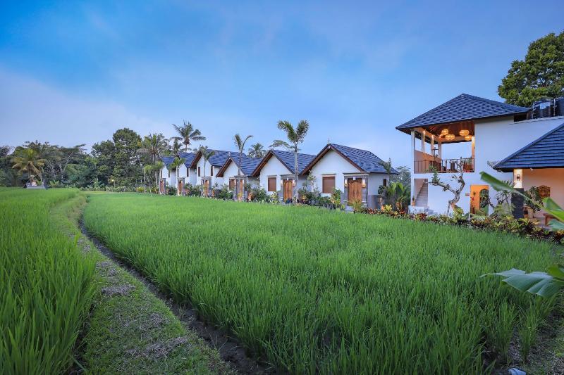 Ascarya Ubud - Genel