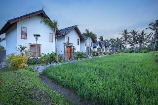 Ascarya Ubud fotoÄŸrafÄ±