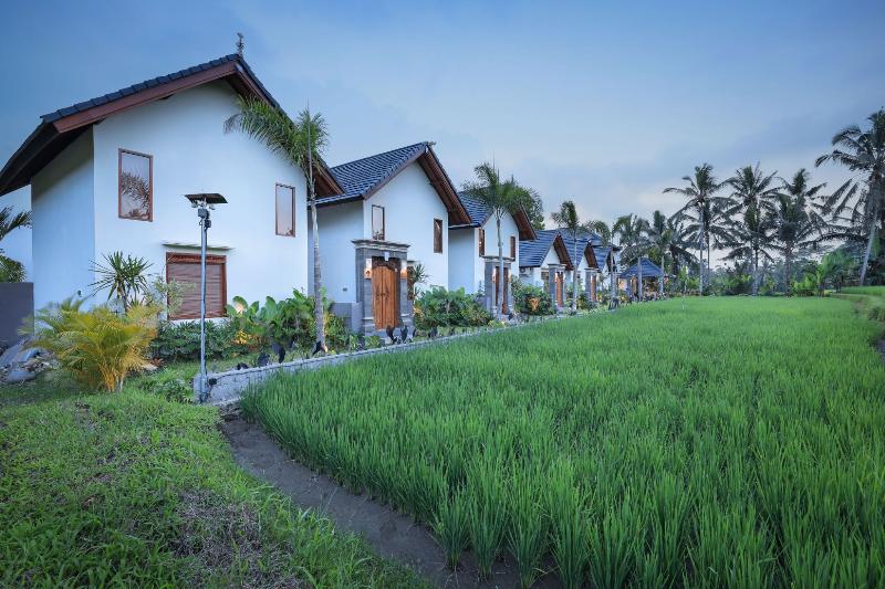 Ascarya Ubud - Genel
