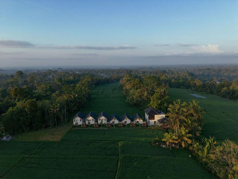 Ascarya Ubud - Genel