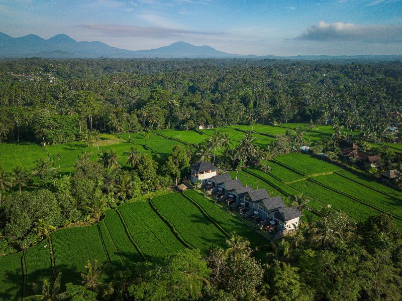 Ascarya Ubud - Genel