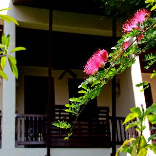 Puripunn Baby Grand Boutique Hotel fotoÄŸrafÄ±