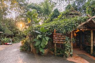 Phu Chaisai Mountain Resort & Spa Chiangrai fotoÄŸrafÄ±