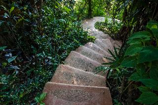 Phu Chaisai Mountain Resort & Spa Chiangrai fotoÄŸrafÄ±