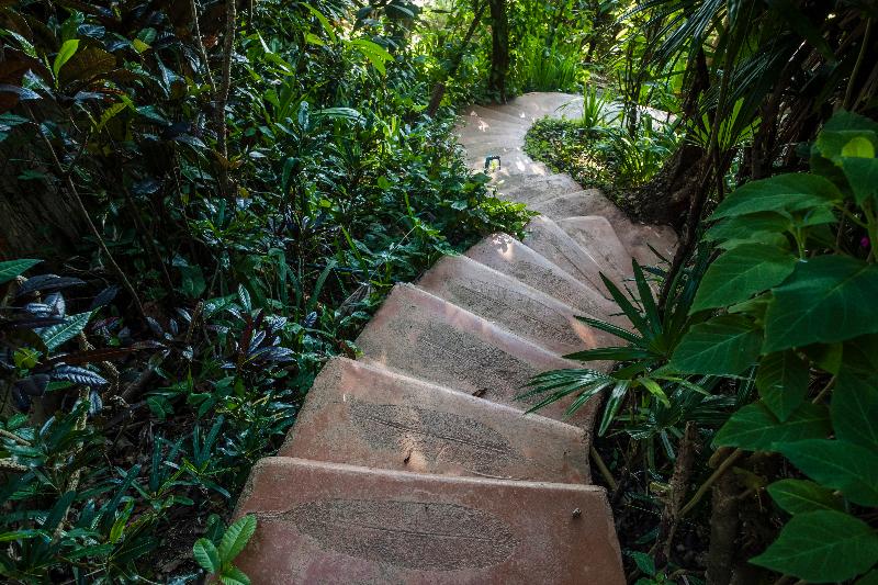 Phu Chaisai Mountain Resort & Spa Chiangrai - Aktivite