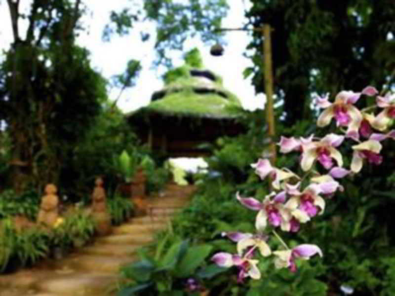 Phu Chaisai Mountain Resort & Spa Chiangrai fotoÄŸrafÄ±