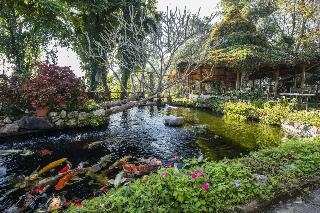 Phu Chaisai Mountain Resort & Spa Chiangrai otel fotoğrafı