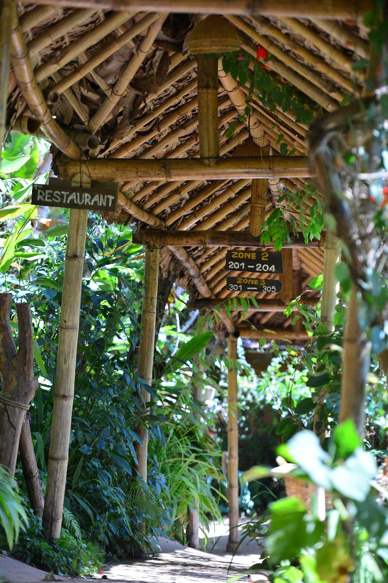 Phu Chaisai Mountain Resort & Spa Chiangrai - Genel