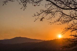 Phu Chaisai Mountain Resort & Spa Chiangrai fotoÄŸrafÄ±