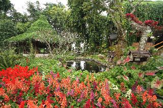 Phu Chaisai Mountain Resort & Spa Chiangrai fotoÄŸrafÄ±