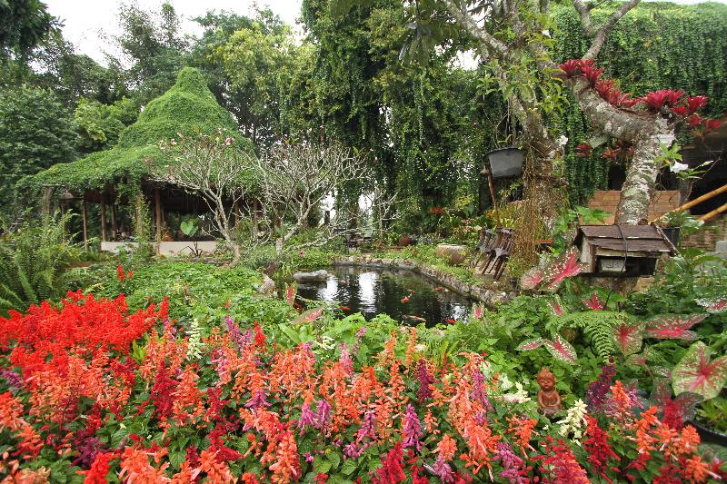 Phu Chaisai Mountain Resort & Spa Chiangrai - Restoran