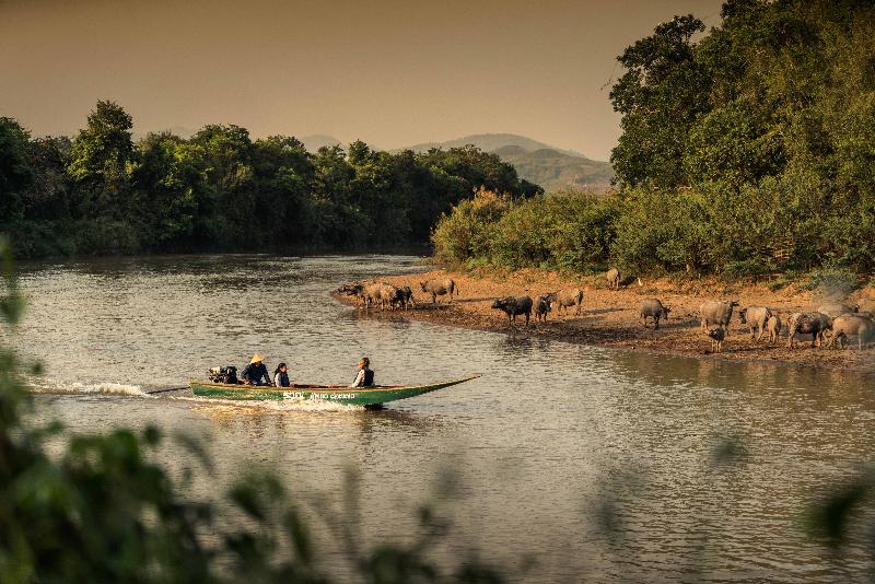 Four Seasons Tented Camp Golden Triangle - Aktivite