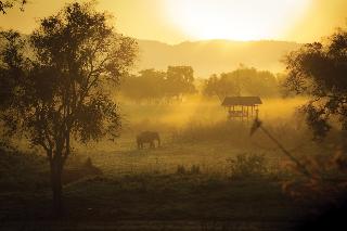 Four Seasons Tented Camp Golden Triangle fotoÄŸrafÄ±