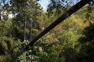 Four Seasons Tented Camp Golden Triangle fotoÄŸrafÄ±