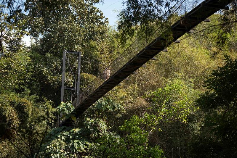 Four Seasons Tented Camp Golden Triangle - Genel