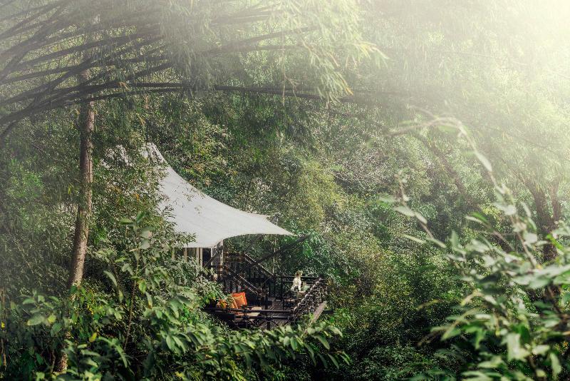 Four Seasons Tented Camp Golden Triangle - Oda